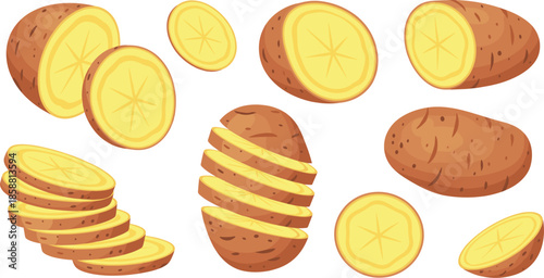 Vector Set of Raw Brown Potatoes Whole Halved and Sliced into Rounds