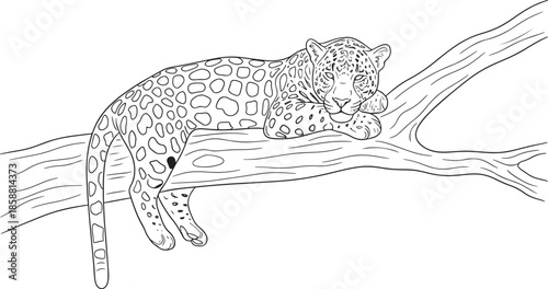 A resting jaguar lounges gracefully on a tree branch in a sketch