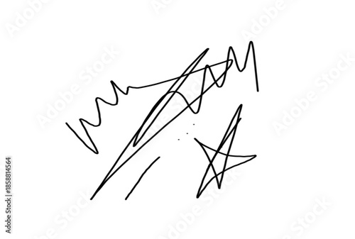 A black signature scribble on a white background with artistic flair