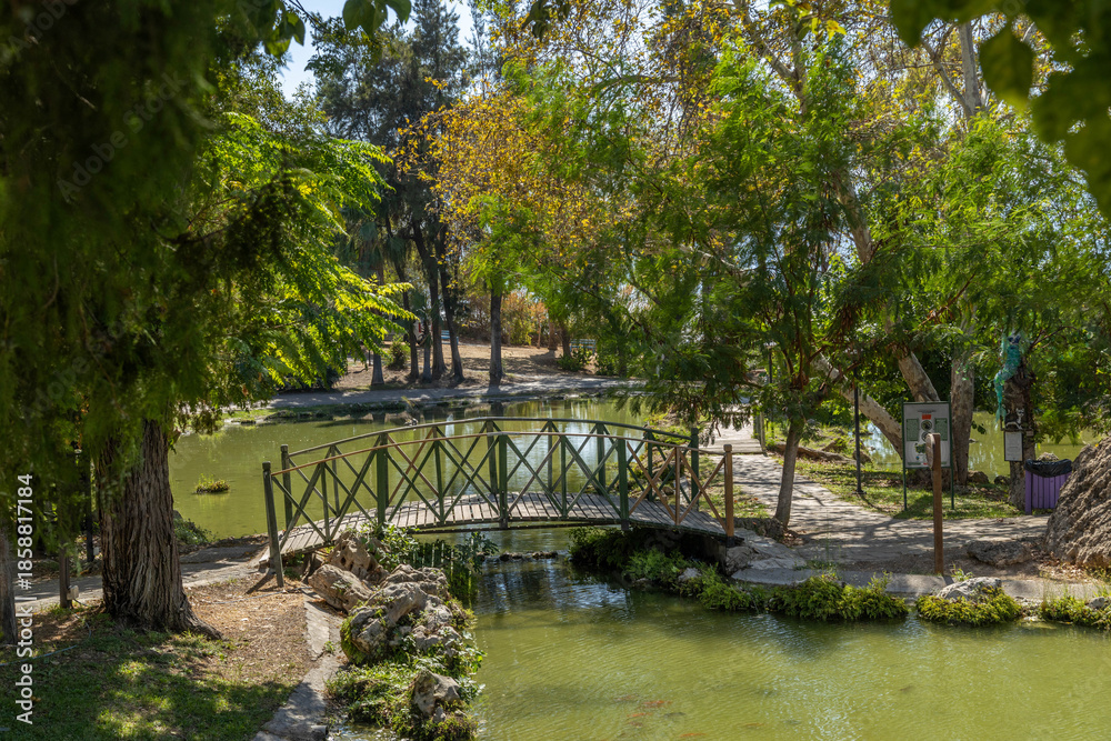 Fototapeta premium Small wooden bridge over a calm pond with koi fish in Mehmet Manavoglu Park. Scenic green public garden with lush trees and walking paths. September, Antalya, Turkey.