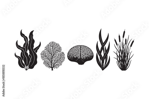 Underwater Seaweed and Coral Silhouette Illustration