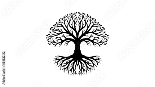 Strong Tree of Life with Roots and Branches, Black Silhouette on Isolated White Background