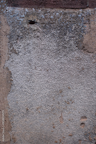 Détail de mur avec un vieux crépi qui se dégrade