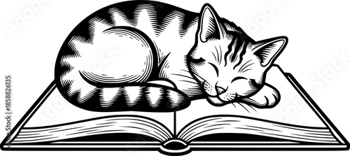 Vintage Style Engraved Illustration of a Sleeping Cat with Book
