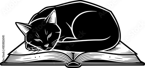 Vintage Style Engraved Illustration of a Sleeping Cat with Book
