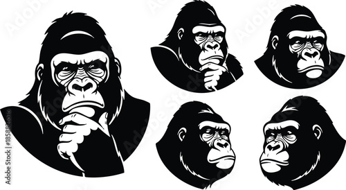 Stencil style close up gorilla head set showing multiple expressions including thinking pose looking at camera and side profiles for logo and branding high contrast monochrome
