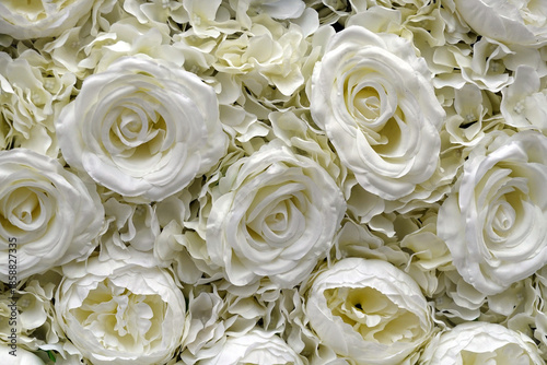 Seidenrosen - silk roses