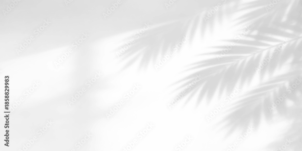 Obraz premium Soft white feather texture pattern with blue light ray backdrop