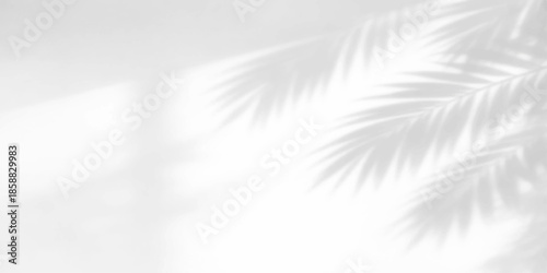 Soft white feather texture pattern with blue light ray backdrop