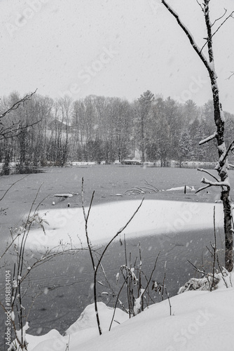 Φωτογραφία Winter riverscape in park Quebec Canada