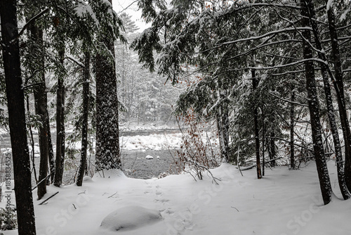 Quadro su tela Winter riverscape in park Quebec Canada