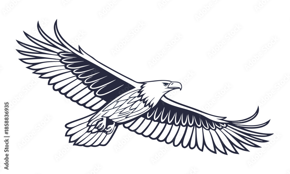 Obraz premium Soaring Eagle Outline Vector Illustration In Black And White , easily editable. 