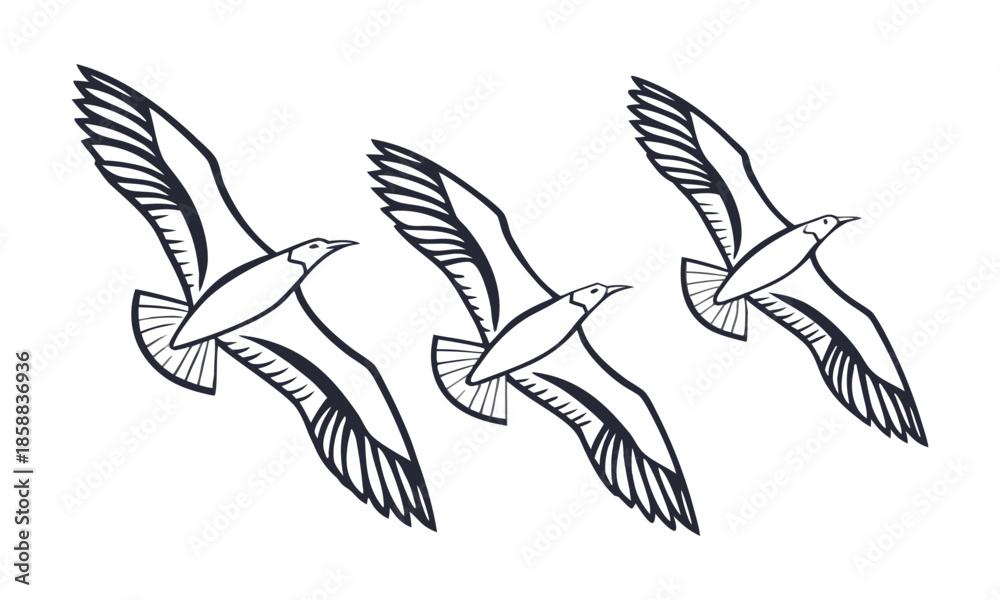 Fototapeta premium Flying Eagle Line Art Vector Illustration, easily editable. 