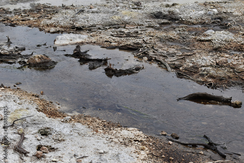 Geo-thermal landscape detail, pool with water at boiling point in Waiotapu Scenic Reserve, Rotorua, New Zealand