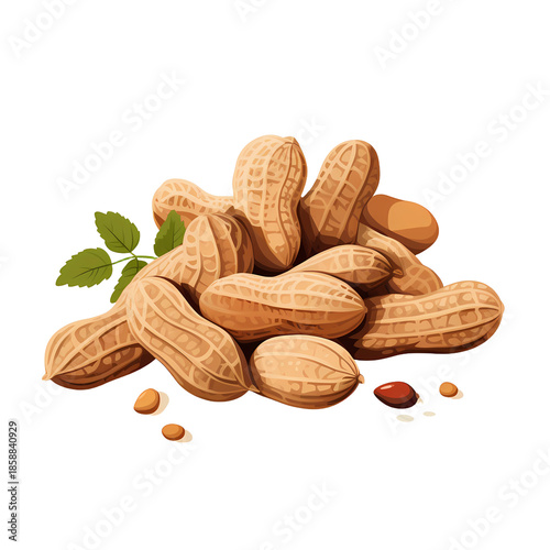 Whole Peanuts in Shell, Groundnut