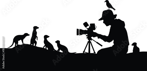 Wildlife photographer silhouette filming curious meerkats in natural habitat, nature documentary concept, animal observation, outdoor adventure, conservation storytelling illustration
