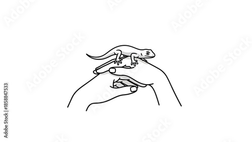 Black outline drawing of a small lizard resting gently on two hands, isolated on a white background