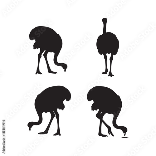  Emu Silhouette Collection