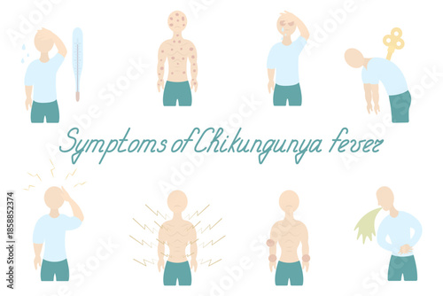 Chikungunya fever symptoms. Italic text. Color vector illustration. Fever, rash, conjunctivitis, fatigue, nausea, vomiting, joint pain, muscle pain, and headache. Isolated on white background. 