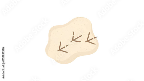Illustration of three distinct bird footprints embedded in a light brown, sandy patch on a white background