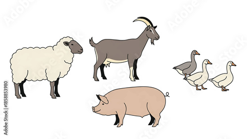 Illustrative lineup of various farm animals a sheep, a goat, a pig, and three geese