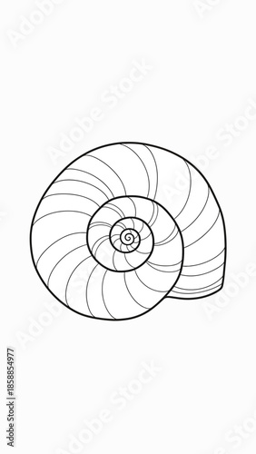 Simple black outline illustration of a spiral seashell with internal segments on a white background