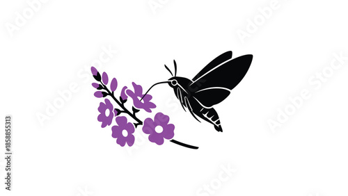 Stylized black moth or hummingbird feeding nectar from a branch of vibrant purple flowers on white background