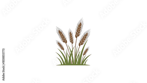 Stylized illustration of brown wheat ears with green stalks growing from a dark green base on white
