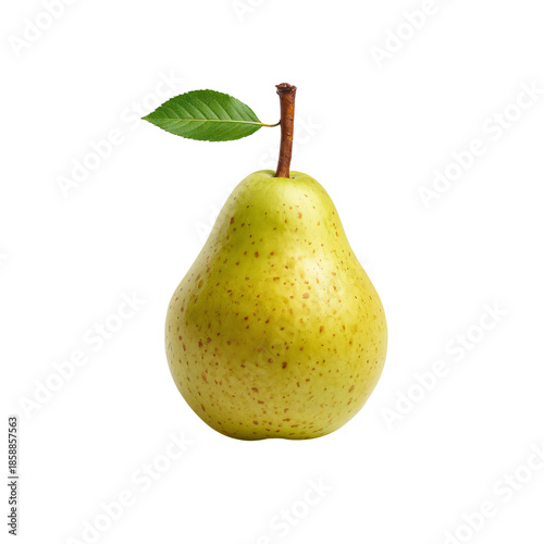 Fresh Pear on a White Background With a Green Leaf and Brown Stem