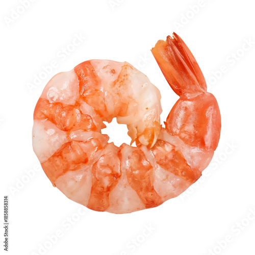 Shrimp on a White Background in a Curled Position Showcasing Its Texture and ...