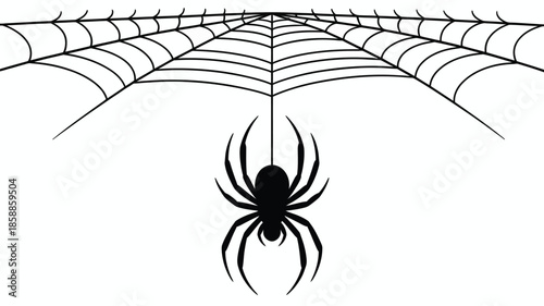 Black spider hanging from intricate web on white background