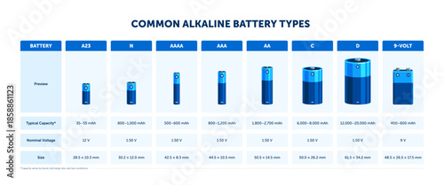 Common alkaline battery types comparison chart. AA, AAA, C, D, 9-volt, N, A23 sizes with capacity and voltage. Flat vector infographic isolated on white background