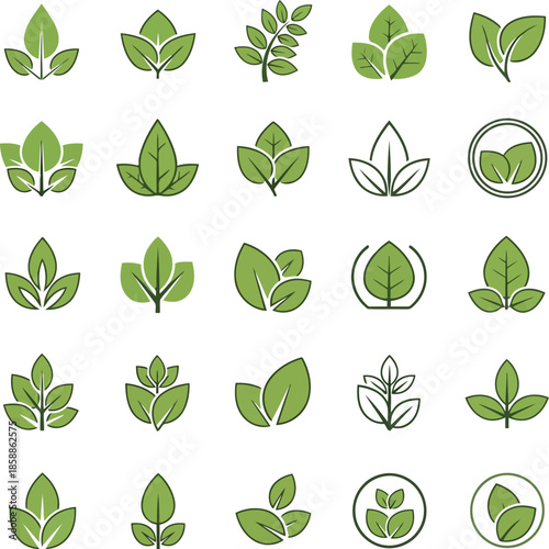Collection of various leaf designs