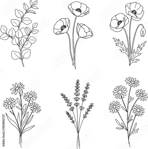 Delicate line art florals