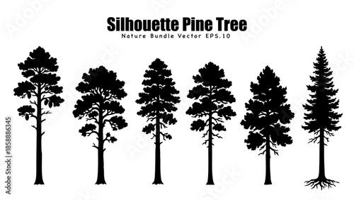 Silhouette Pine Trees Collection Abstract Vector Illustration Nature Forest Elements.Vector Bundle