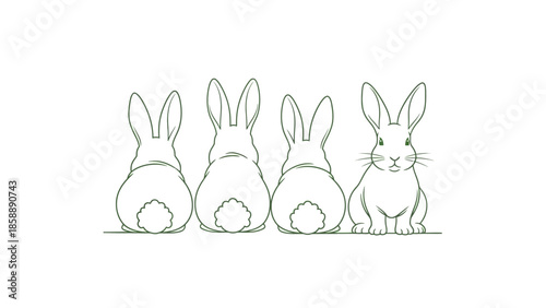 Four rabbits are lined up, with three facing away and one facing forward, showing its face and front paws.