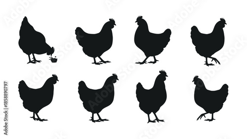 A collection of eight black silhouettes of chickens in various poses, showcasing different stances and movements.
