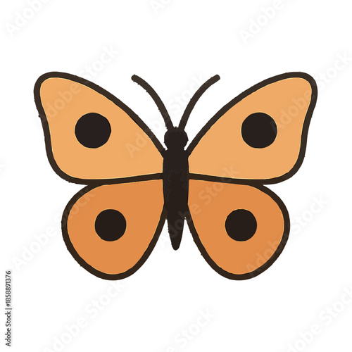 Butterfly Flat Vector
