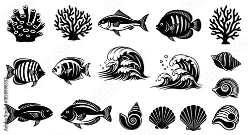 Marine Life Variety: Fish Coral Waves and Shells in Black and White.
