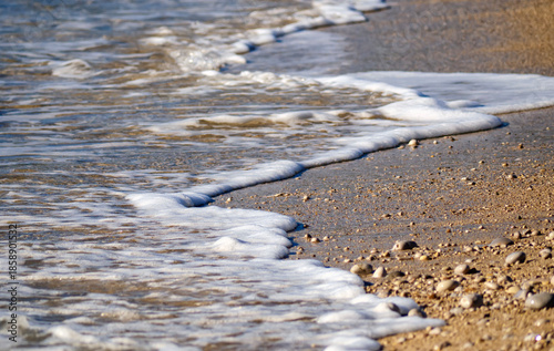 Photos Close up view of the shoreline where fine tan and brown sand meets the frothy wh