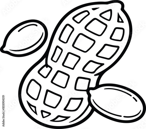 Peanut Outline Icon Vector Illustration Isolated on White Background
Peanut Line Art Icon, Nut Food Symbol, Minimal Black and White Illustration