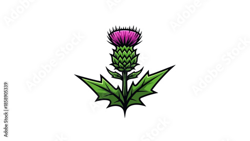 A stylized illustration of a thistle flower with vibrant purple bloom and green leaves on a white background.
