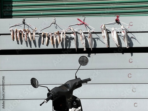 Dried fish hanging in rows on metal clothes hangers outside a building