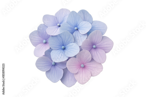 Wallpaper Mural Hydrangea blossom creating soft pastel floral arrangement Torontodigital.ca