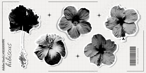 Hibiscus flowers collage set with photo cutout shapes, halftone texture. Retro modern floral elements for posters, branding, packaging, web design. Vector illustration