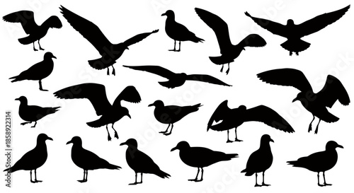 A versatile collection of various black vector silhouettes depicting seagulls in different flying and standing poses, ideal for a sea-themed design background.