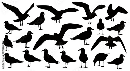 A versatile vector collection of elegant black seagull silhouettes captured in diverse flight and standing poses, ideal for sea-themed backgrounds and graphic design.