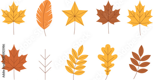 Set of creative stylized autumn leaves with star and feather shapes vector illustration for seasonal fall graphic design.