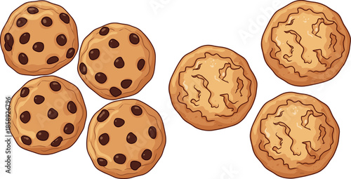 Set of chocolate chip cookies and golden sugar biscuits vector illustration isolated on white background for bakery cafe.