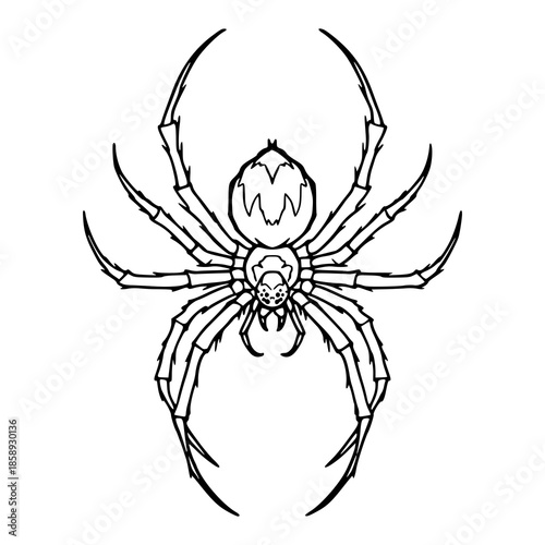 detailed spider with spotted pattern outline vector